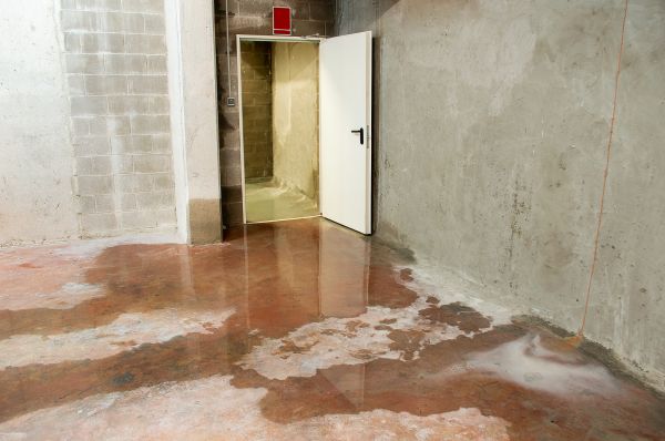 Cost of Wet Basement Repair in Dothan